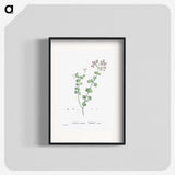 1-73_Histoire-des-Plantes-Grasses_blk