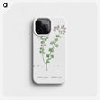 1-73_Histoire-des-Plantes-Grasses_phone