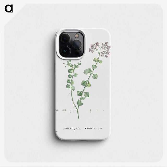 1-73_Histoire-des-Plantes-Grasses_phone