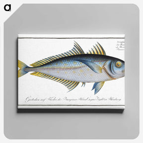 1-73_Ichtyologie-ou-Histoire-naturelle_canvas