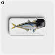 1-73_Ichtyologie-ou-Histoire-naturelle_phone