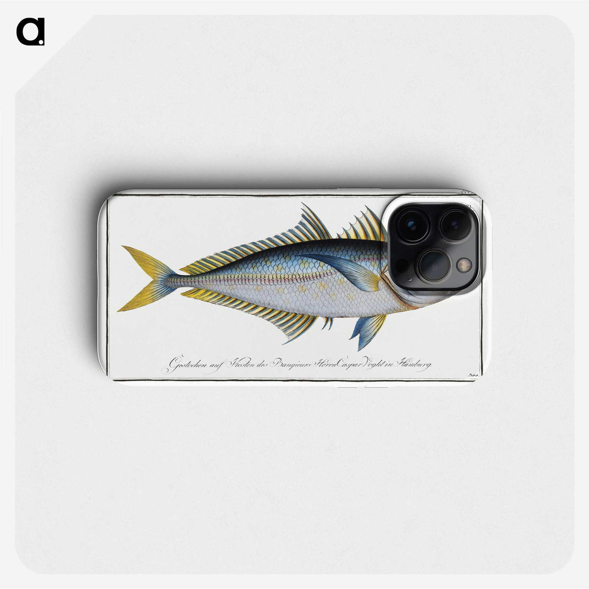 1-73_Ichtyologie-ou-Histoire-naturelle_phone