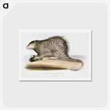 1-73_Indian-Zoology_hagaki