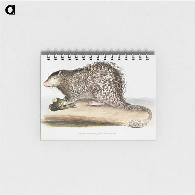 1-73_Indian-Zoology_memo