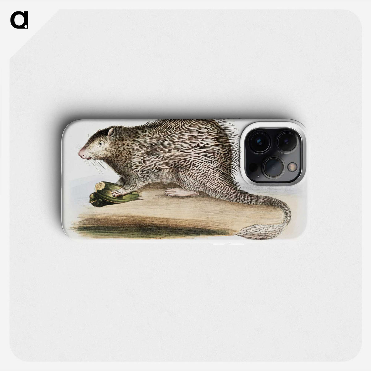 1-73_Indian-Zoology_phone