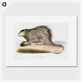 1-73_Indian-Zoology_picture