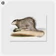 1-73_Indian-Zoology_postcard