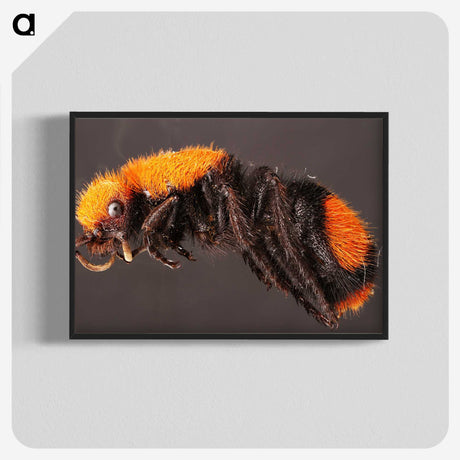 1-73_Insects-Unlocked-Project_blk-crop