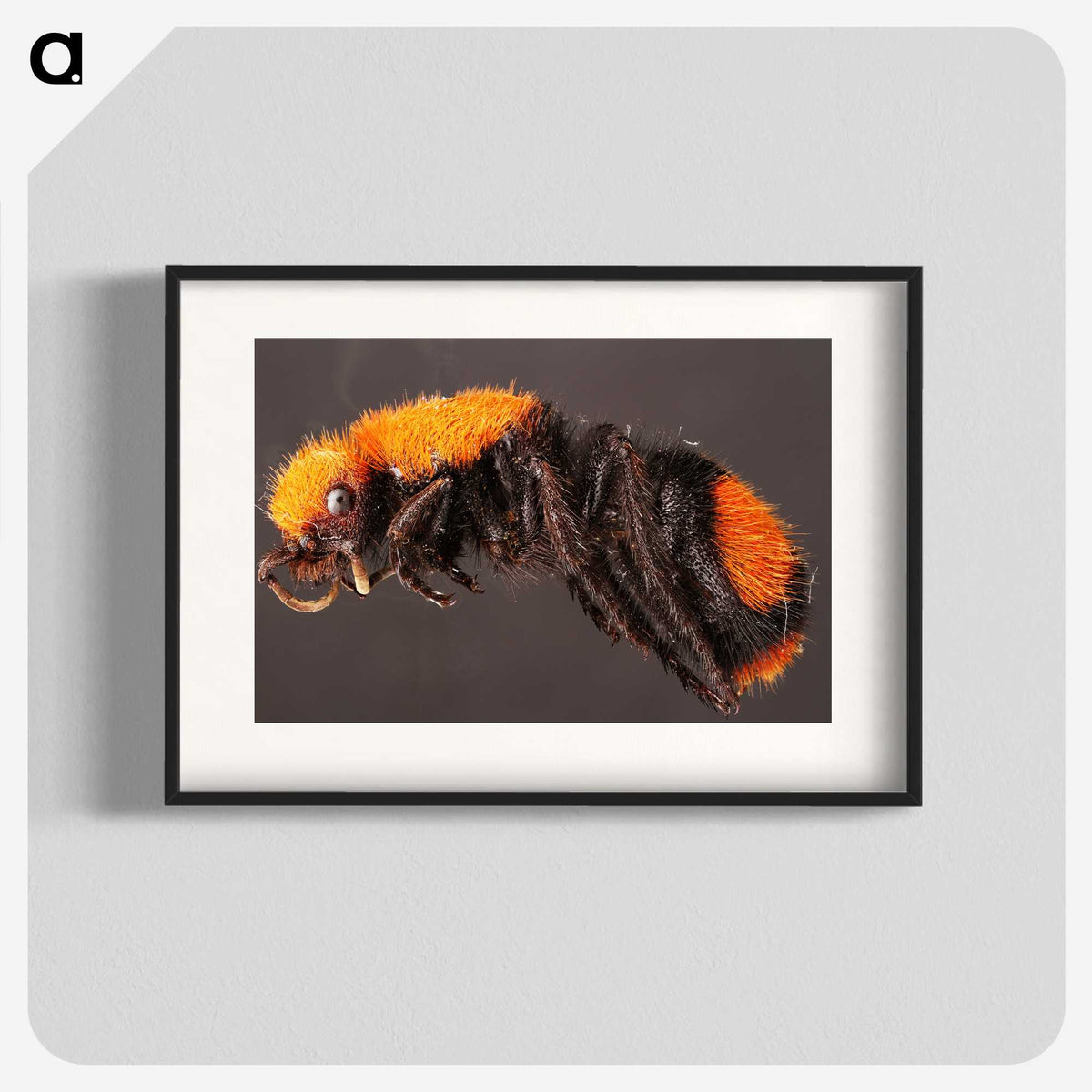 1-73_Insects-Unlocked-Project_blk