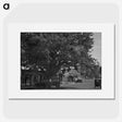 1-73_James-Walter-Chapman-Taylor_picture