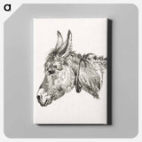 アートパネル-Head of a donkey - ジャン ベルナール Canvas.