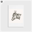 アートポストカード-Head of a donkey - ジャン ベルナール Postcard.