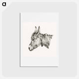 アートポストカード-Head of a donkey - ジャン ベルナール Postcard.