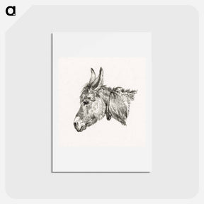 アートポストカード-Head of a donkey - ジャン ベルナール Postcard.