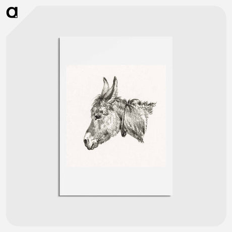 アートポストカード-Head of a donkey - ジャン ベルナール Postcard.