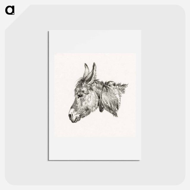 アートポストカード-Head of a donkey - ジャン ベルナール Postcard.