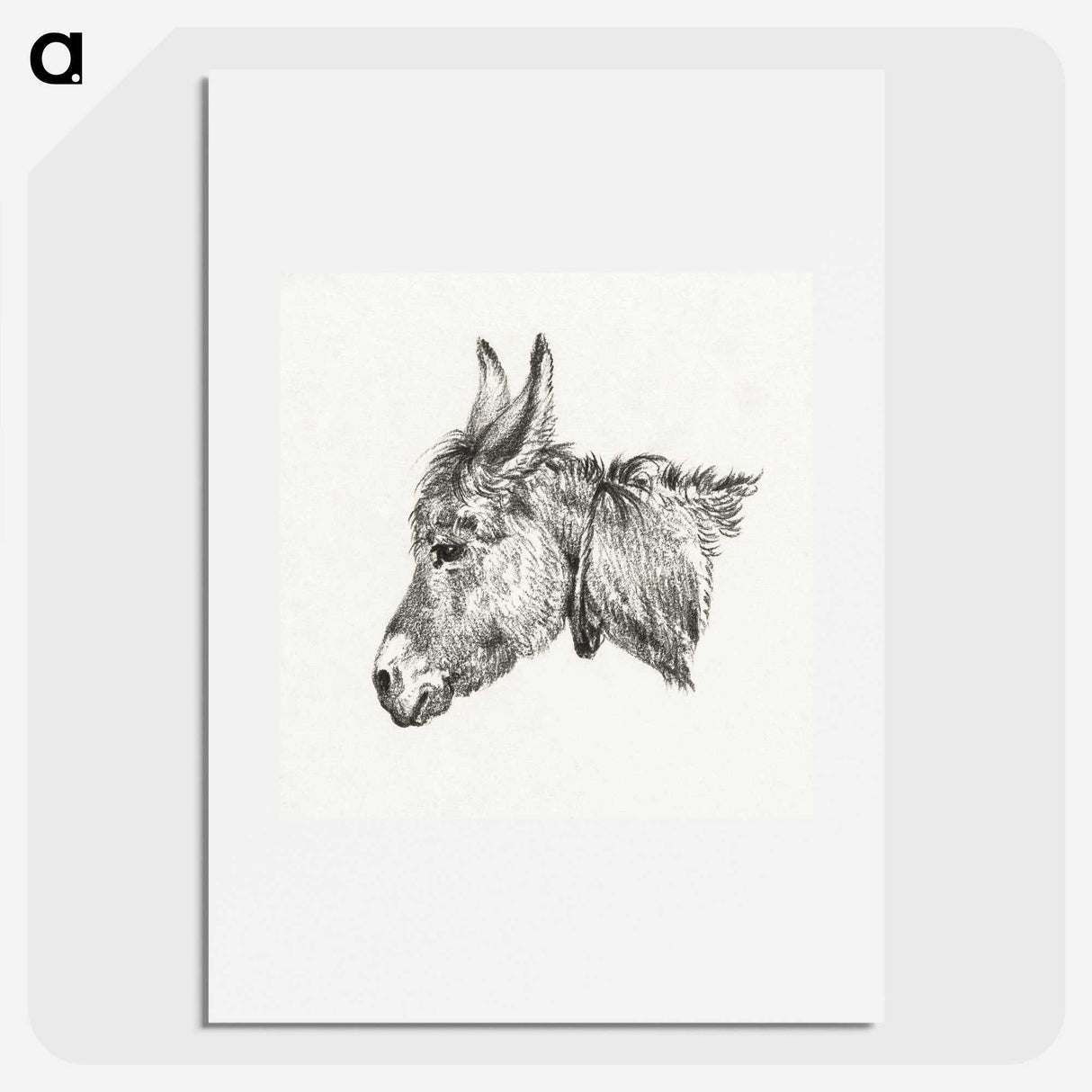 1-73_Jean-Bernard_picture