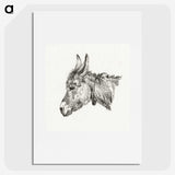 1-73_Jean-Bernard_picture