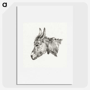 1-73_Jean-Bernard_picture