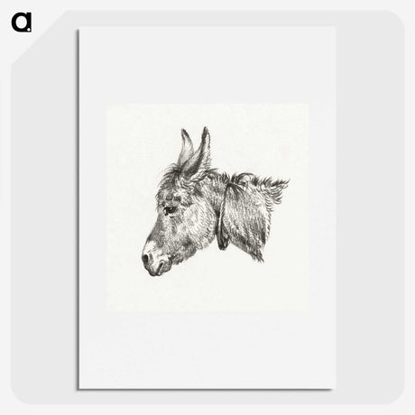 1-73_Jean-Bernard_picture