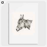 Head of a donkey - Jean Bernard Poster.