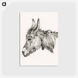 アートポストカード-Head of a donkey - ジャン ベルナール Postcard.