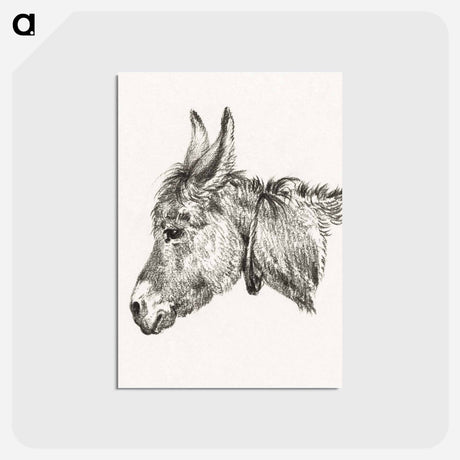 アートポストカード-Head of a donkey - ジャン ベルナール Postcard.
