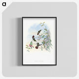 1-73_John-Gould_blk-crop