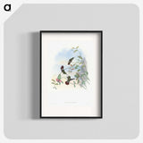 1-73_John-Gould_blk