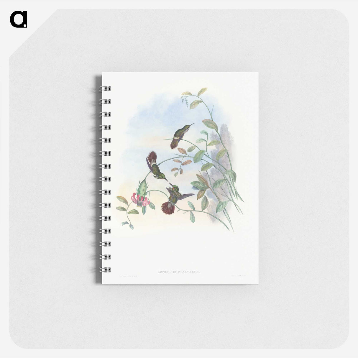 1-73_John-Gould_memo