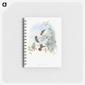 1-73_John-Gould_memo