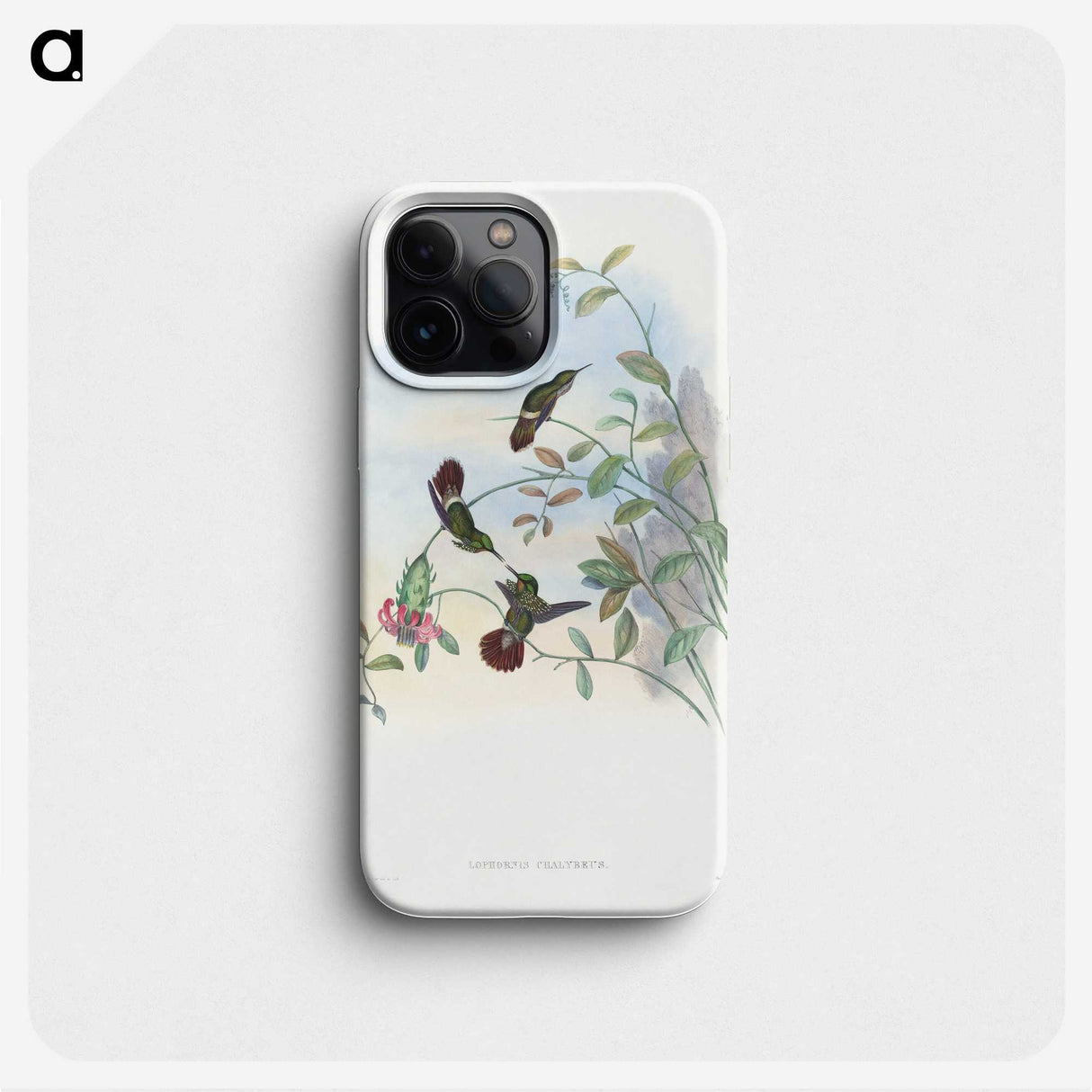 1-73_John-Gould_phone