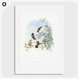 1-73_John-Gould_picture