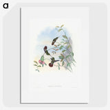 1-73_John-Gould_picture