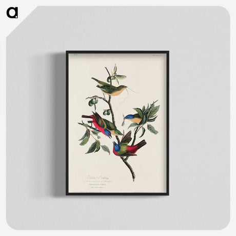 1-73_John-James-Audubon_blk-crop