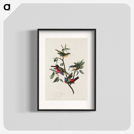 1-73_John-James-Audubon_blk
