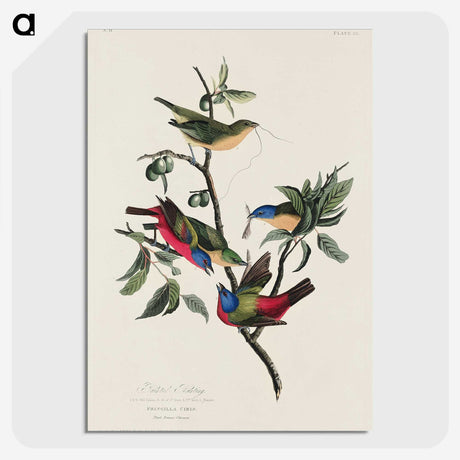 1-73_John-James-Audubon_picture-crop