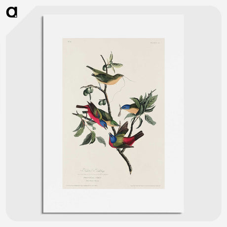 1-73_John-James-Audubon_picture