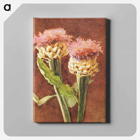 アートパネル-Thistle - ジョン シンガー サージェント Canvas.