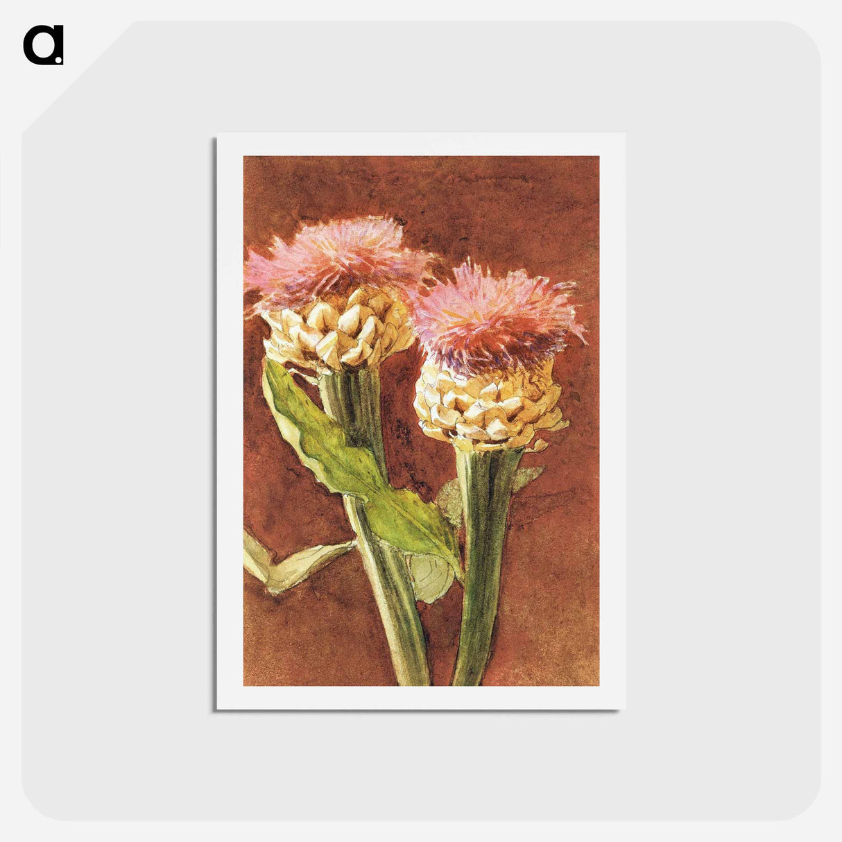 アートポストカード-Thistle - ジョン シンガー サージェント Postcard.