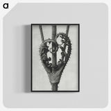 1-73_Karl-Blossfeldt_blk-crop