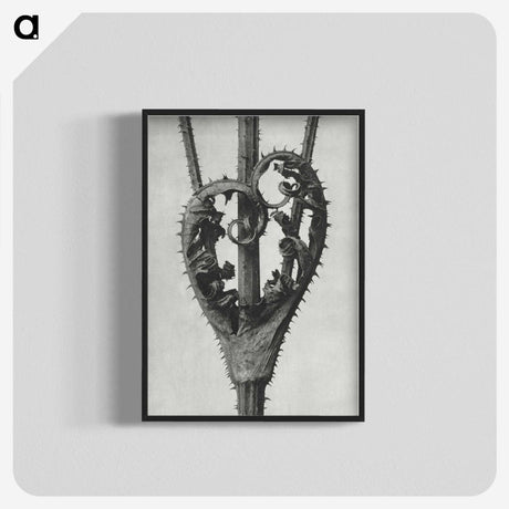 1-73_Karl-Blossfeldt_blk-crop