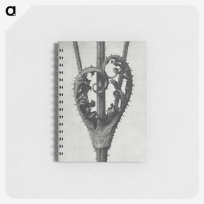 1-73_Karl-Blossfeldt_memo