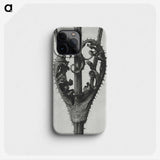1-73_Karl-Blossfeldt_phone