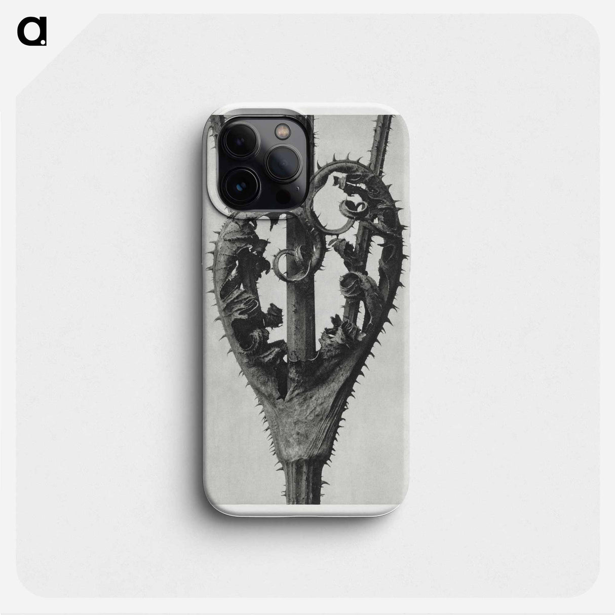 Dipsacus Laciniatus (Cutleaf Teasel) - Karl Blossfeldt Phone Case.