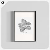 1-73_Les-Palmiers-Histoire-Iconographique_blk
