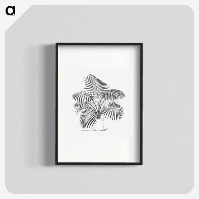 1-73_Les-Palmiers-Histoire-Iconographique_blk