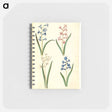 アートメモ帳-Hyacinthus Orientalis
 - マリア ジビーラ メーリアン Memo.