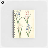アートメモ帳-Hyacinthus Orientalis
 - マリア ジビーラ メーリアン Memo.