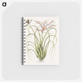 1-73_Mark-Catesby_memo